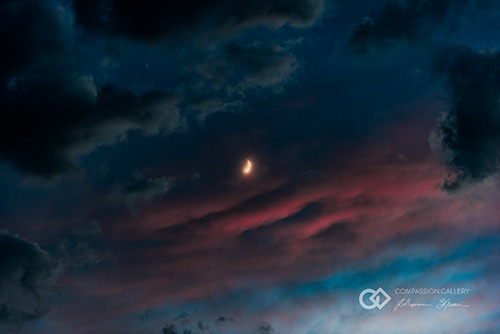 Free Wallpaper Downloads, by Ray Majoran