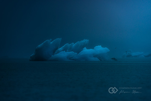 Jökulsárlón Glacier Lagoon, Iceland