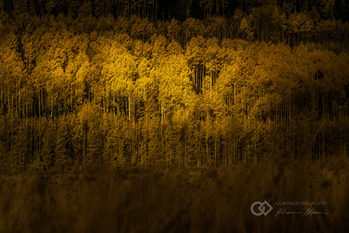 Durango, Colorado