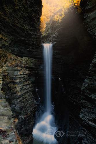 Watkins Glen, New York